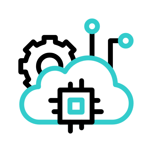 Service Custom SaaS Systems